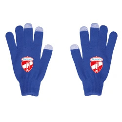 Bucovia - Rękawiczki zimowe z funkcją smartfon touch - niebieskie